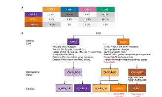 41+的癌癥分型有何亮點？