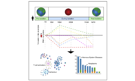 模擬太空旅行中的長期隔離相關的DNA甲基化動態改變