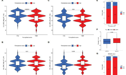 新型鐵死亡模式定量系統預測你最關心的問題：患者預后和免疫治療