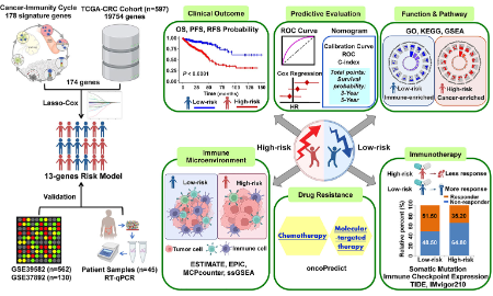 SXR202206003C-哈哈-免疫治療+預后=7+