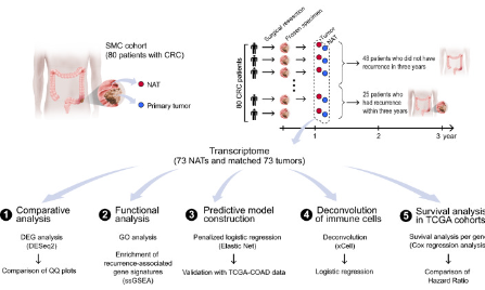 SXR202304021C+影響因子8+讓癌旁組織不再是正常對照