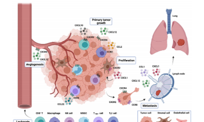 趨化因子為何能成為腫瘤免疫治療靶點(diǎn)？生信分析為你揭秘