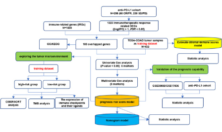如何利用免疫治療數據來構建預后模型？