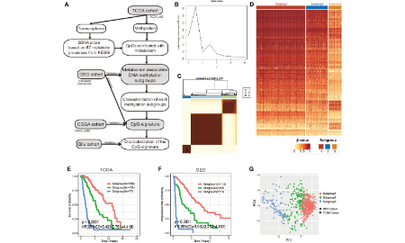 代謝相關DNA甲基化特征預測低級別膠質瘤患者亞型以及免疫治療反應