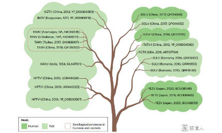新冠疫情下的反思：對于病原感染，是否應該防患于未然