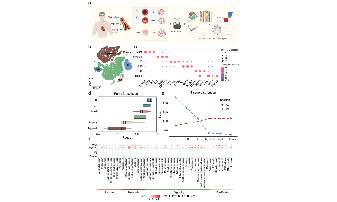SXR2023030007C_jing_非腫瘤疾病中組織結合單細胞思路介紹