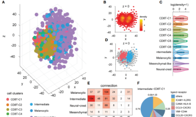 聚焦細胞間通訊 探索腫瘤微環境