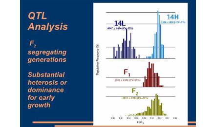 系統解讀近些年火爆了的QTL分析