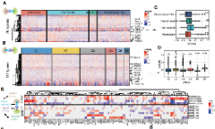 黑色素瘤互作傾向性與臨床獲益相關