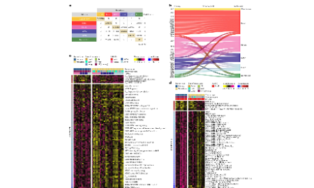 SXR202301015C+利用多組學來研究轉移性乳腺癌
