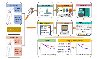 9+T細胞受體預后思路推薦