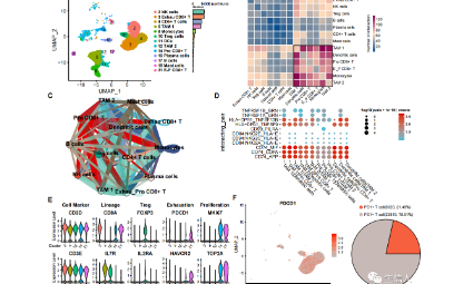 手里只有十幾個樣本怎么能躥出個大活兒？