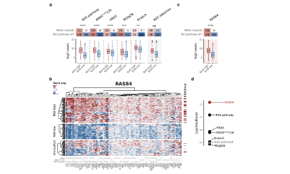 SXR2023030018C-ClearLove-分析公共數據發表NC并不是天方夜譚