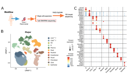 17+單細胞結合bulk數據分析腫瘤微環境思路推薦