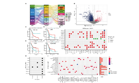 RNA修飾如何發表8+純生信文章