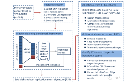 8+內(nèi)卷新思路：卷熱點(diǎn)、卷方法、卷數(shù)據(jù)?。?！