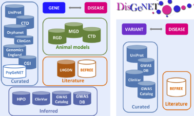 DisGeNET數據庫：和疾病相關基因跨越十年的愛情長跑