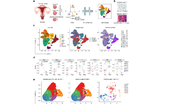 SXR202302022C+RCT治療前后差異分析，38+單細胞研究