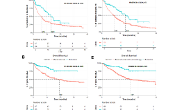 SXR202206024C+非小細胞肺癌的臨床實效研究[outcomes research]
