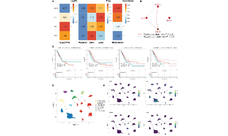 肌肉衰竭指數(shù)竟可預(yù)測肺腺癌預(yù)后和免疫治療？