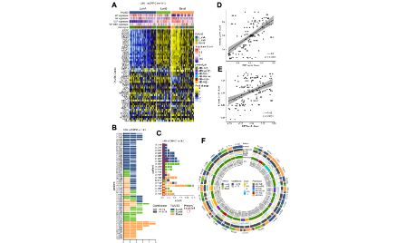 純生信腫瘤分型怎么發(fā)到12+？
