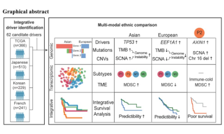 SXR202205020C + 基因組不穩定性會導致癌癥的種族差異？