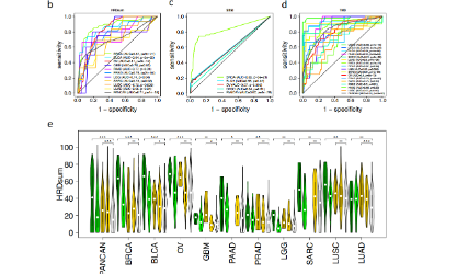 SXR202206021B+數據挖掘之HRD泛癌分析