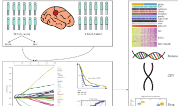 4+預后模型你也可以輕松拿捏