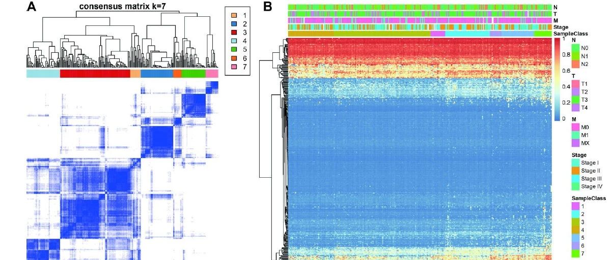 做生信分析，需要認真，哪怕灌水，也要認真！！！！