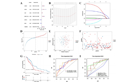 SXR202206027C_jing_一學(xué)就會(huì)的4+鐵死亡思路分享