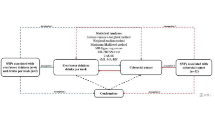 沒有臨床數據也不做試驗，還可以上4分？——巧利用孟德爾隨機化揭示惡性腫瘤危險因素