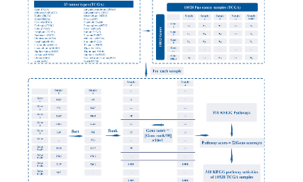 SXR202205021C+泛癌分析中的通路活性算法開發