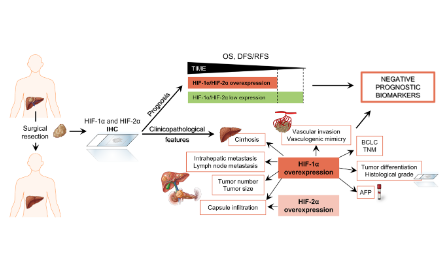 缺氧的meta-analysis怎么做？