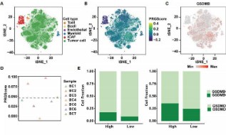 焦亡score再現，尋找隱藏幸運兒