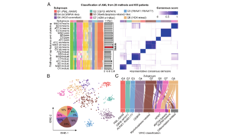 如何用轉錄組數據探究疾病的分子分型？