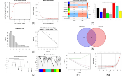 SXR202210006C-哈哈-WGCNA是如和助力介入治療的？