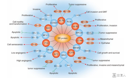 可變剪切時隔三年又出新思路？