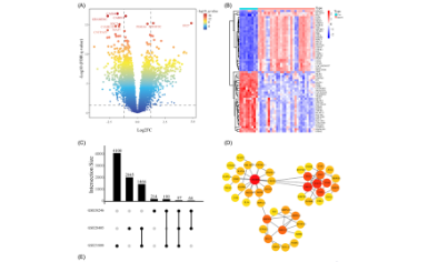 SXR2023040005C-ClearLove-公共數據+簡單實驗，20分離你并不遙遠