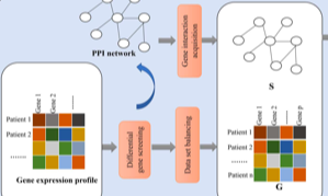 改進的圖卷積模型預測癌癥遠端轉移