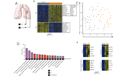 這個單細胞聯合分析思路，真齊整
