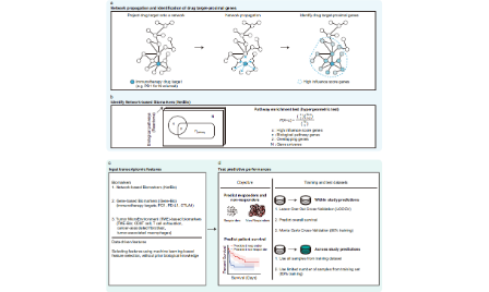 基于網(wǎng)絡的機器學習方法預測癌癥患者的免疫治療反應