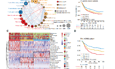 TMEscore—識別免疫預后的標志物