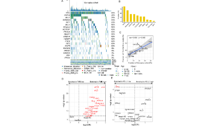 TP53和LRP1B Co-Wild預測LUSC患者抗PD-L1免疫治療效果