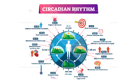 點找對，單細胞數據挖掘仍然輕松上12+