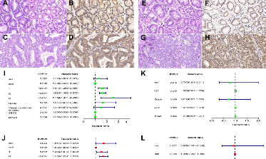 干濕結合：5+胃癌患者預后模型新玩法