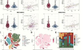 集齊12種程序性細胞死亡方式發13+純生信SCI