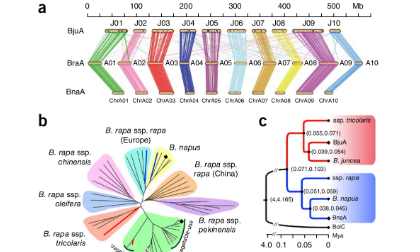 全表觀基因組關(guān)聯(lián)分析（EWAS）與GWAS，MR碰撞