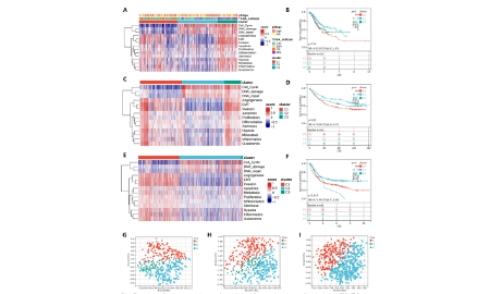 SXR202302011C+胃癌分子亞型還能發(fā)8+？！