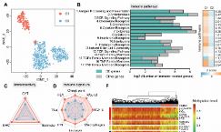 SXR202304031C - 膠質母細胞瘤lncRNA甲基化與轉錄組聯合分析