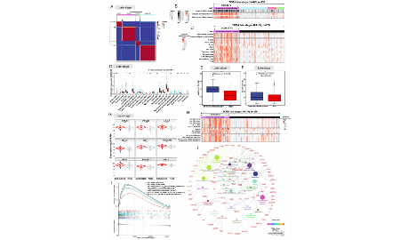 選對角度公共數據純生信分型也可以輕松發到15+